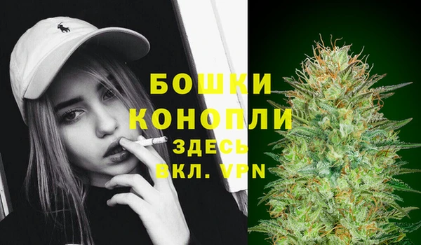 бошки Арсеньев