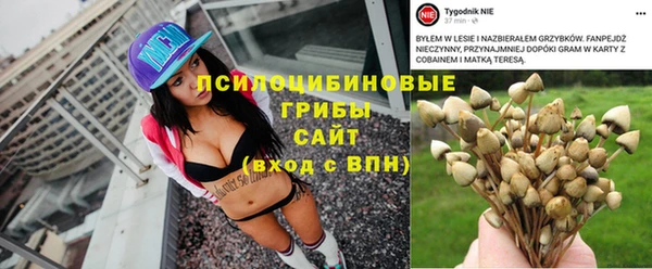 бошки Арсеньев
