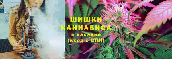 бошки Арсеньев