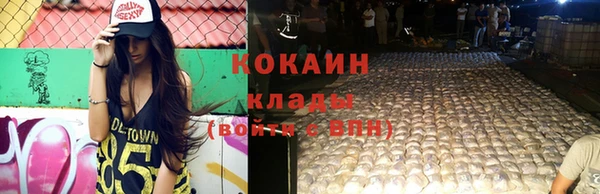 дмт Аркадак