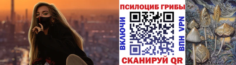 купить Абакан Галлюциногенные грибы прущие грибы
